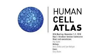 HCA Meeting: Day 2 Breakout Summaries