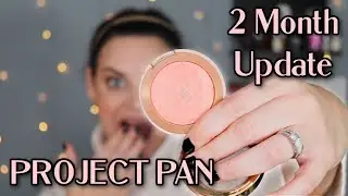 2022 PROJECT PAN | 2 month update | EXCITING progress!