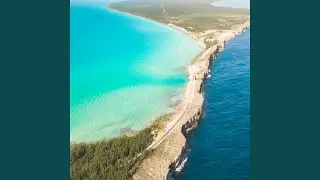 Palmetto Point