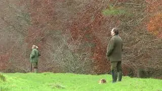Pheasant and Partridge Shooting featuring ''The Archangels Of Melbury Abbas''