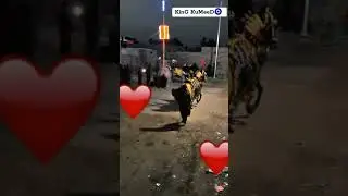 Kummed Zuljana Matiari 2024