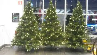 Julgranar