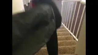 CalebCity : The pizza is here&nbsp;(vine)