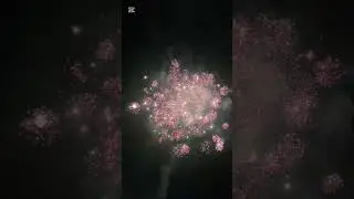 An nou fericit tuturor!!! #viral #pyrotechnica #firecracker #fireshow 