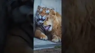 🙋A amizade, o sentimento mais lindo que existe, pois quando acaba deixa um vazio indescrit&iacute;vel.#cry