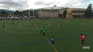 Bay Area Surf 2014B Premier vs ECFC Salinas 2014B Red | NorCal League | 11/16/2025