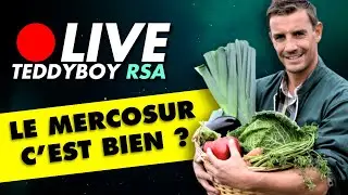 🔴 TOUT COMPRENDRE sur le MERCOSUR