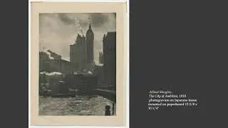 220 21 Stieglitz