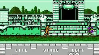 Altered Beast 8 bit game