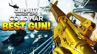 Cold War S2 |  THE AGENCY SUPPRESSOR IS BACK ! SQUAD WIN