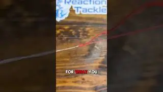 🎣How to Tie the Albright Knot | Best Knot for Braid to Mono/Fluoro🌊 #fishingknot #albrightknot