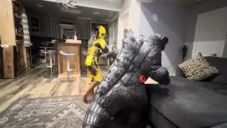 The man in the suit versus bumblebee but a low budget!￼