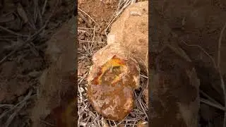 Finding Natural Crystal Agate Gemstones At The Mountain #naturalamethyst #gemstone #crystals #mining