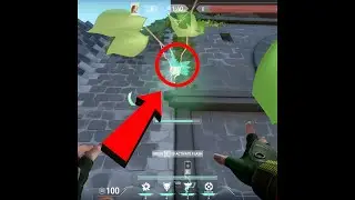 SKYE BUG (Riot Fix This) skye bug valorant