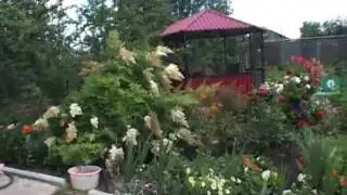 Двор 5