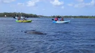 Epic River Adventures with River Ventures: Unforgettable Paddling Tour Experience!