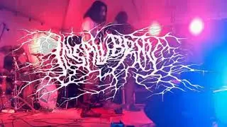 Insalubrity - Live in San Pablo