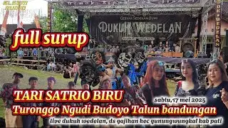 📍TARI SATRIO BIRU FULL SURUP - TNB LIVE DK WEDELAN DS GAJIHAN KEC GUNUNGWUNGKAL KAB PATI 17 MEI 2025