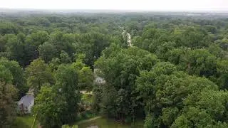 2021 Cicada Tree Damage