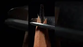 Please turn on the sound and listen!!#asmr #macro #amazing #macrovideo #fun #short #macrophotography