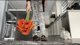 Колготки под рваными джинсами &mdash; это стильный зимний наряд, который сохранит тепло.