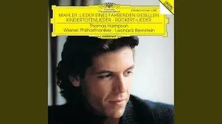 Lieder eines fahrenden Gesellen: No. 4, Die zwei blauen Augen (Live)