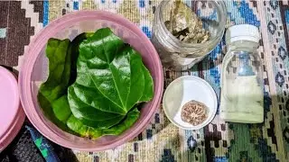 HOW TO MAKE OR MIX BETEL NUT (NGINANG) FOR DENTAL & ORAL HEALTH