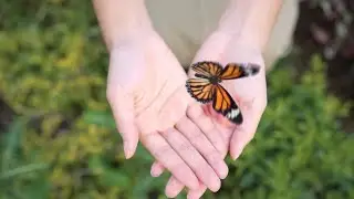 Aim High and Take Flight 志存高遠 振翅起航