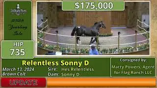 2025 Heritage Place Quarter Horse Yearling Sale, Day Three, Hip 735, $210,000, Relentless Sonny D