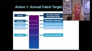 Recreational Red Snapper Accountability Measures