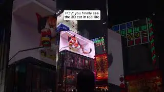 POV: You Finally See the 3D Cat in Japan 🇯🇵