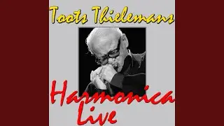 Bluesette (Live)