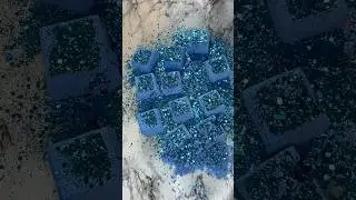 HOLI REFORMS ASMR #asmrsounds
