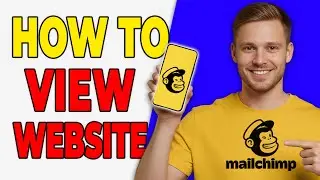 Как просмотреть показатели эффективности сайта в Mailchimp (Обзор отчетов за 2025 год)