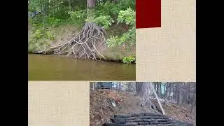 Shoreline Erosion &ndash; What are my BMP options? - 2021 NW WI Lakes Conference