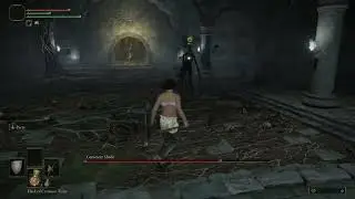 Elden Ring LVL 1 Cemetery Shade Boss Fight - Parry Only