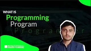 Programming, what is programming , program and who is programmer in Urdu | Coderomantor