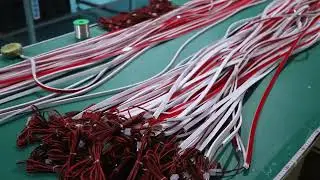 Mass Production Scale: Inside Our Continuous Silicone Neon Flex Extrusion Line