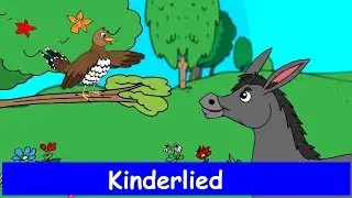 Der Kuckuck und der Esel - Sing mit Kinderlieder | zum Mitsingen Sing mit Yleekids