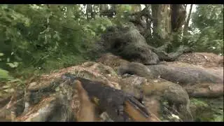 Hunt: Showdown SOLO vs DUO 🔥 Semma Risk Gunfights | Tamil