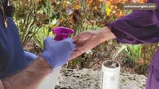 Volcanic Origins demonstration