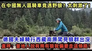 在中國無人區騎車竟遇野狼？太刺激了！德國夫婦騎行西藏高原驚見狼群出没，直呼：當地人說有熊有狼我偏要走這條路！#外國人看中國 #老外看中國 #外國人來中國 #中國旅遊 #深度解説 #真實評價