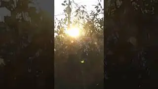 быть леди баг не для меня.. #video #camera