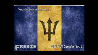 BIM SAMPLER 2017 VOL 1| FREEZE INTERNATIONAL