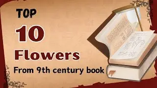 Top 10 MEDICINAL FLOWERS from 9th CENTURY BOOK #flowers #top10