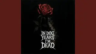 In Dog Years I'm Dead
