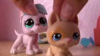 ❀ LPS: Behind the Scenes (Night Owl)