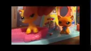 LPS Wizards ep. 3 A New Look