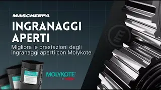 Migliora le prestazioni degli ingranaggi aperti con Molykote | Mascherpa