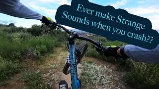 Early Morning crash and a strange sound came out of me.